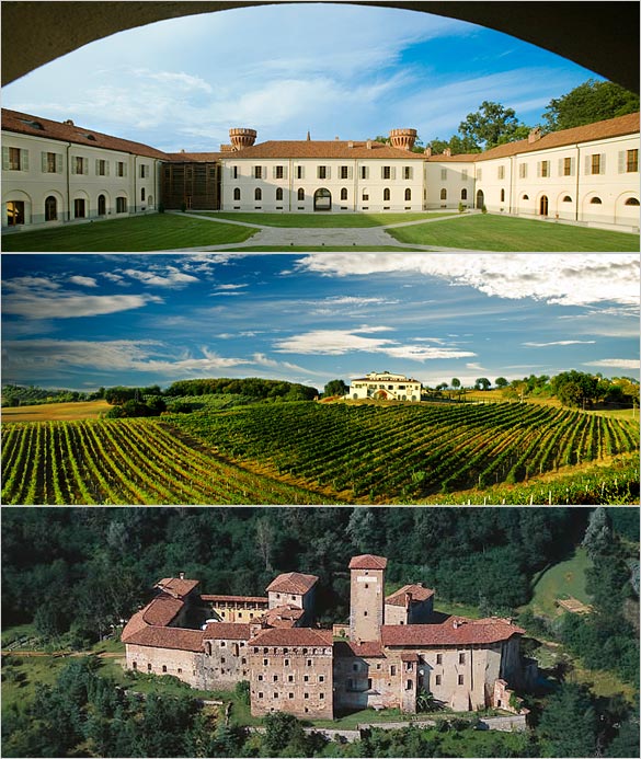 Wedding-in-Piedmont Wedding-in-Piedmont