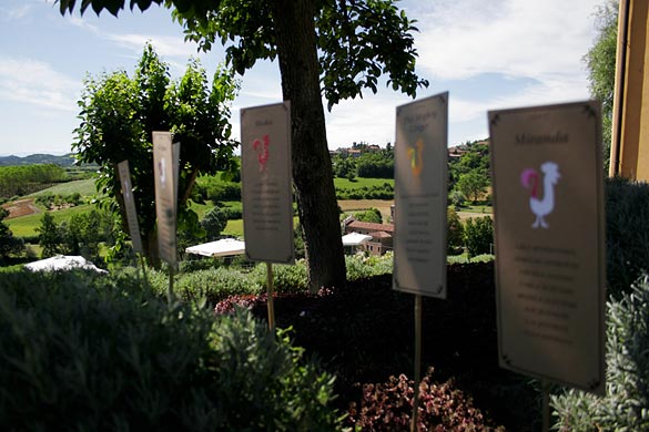 At about 5pm all the other guests arrived following the cute country sign 