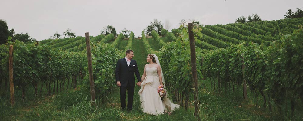 vineyard-wedding-monferrato